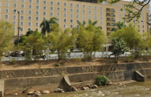 Por presunto abuso al consumidor indagan a 11 hoteles en Cali