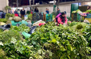 Ritual de fin de año: dónde encontrar variedad de plantas en Bogotá