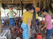 Así se distribuye proteína en La Guajira sin neveras