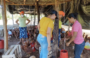 Así se distribuye proteína en La Guajira sin neveras