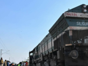 Mueren siete elefantes arrollados por un tren en India
