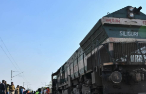 Mueren siete elefantes arrollados por un tren en India