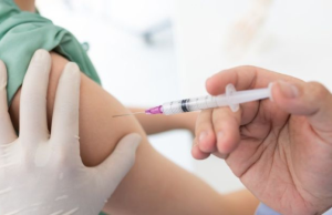 Nueve personas han muerto en lo corrido del 2026 por fiebre amarilla