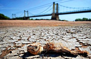 El 2025 fue el tercer año más caliente: por qué el planeta no ‘enfrió’ ni con el fenómeno de La Niña