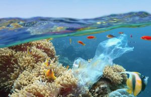 La temperatura de los océanos marcó un nuevo récord en 2025