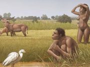 Descubren que el hominino más antiguo conocido ya caminaba erguido: esto dice la investigación