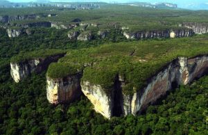 Parques nacionales, sostenes de la megabiodiversidad