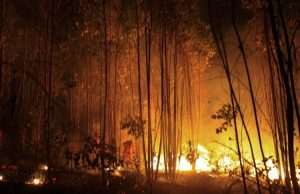 El calentamiento global de hace 56 millones de años provocó incendios masivos y erosión, revela nuevo estudio