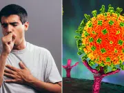 Gobierno colombiano activó un monitoreo preventivo ante casos sospechosos de virus Nipah en la India