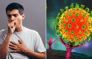 Gobierno colombiano activó un monitoreo preventivo ante casos sospechosos de virus Nipah en la India
