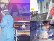 ¿Qué se sabe del virus Nipah, la letal enfermedad que enciende las alarmas en Asia? Este es su origen y la forma en la que se transmite