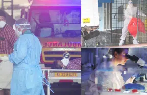 ¿Qué se sabe del virus Nipah, la letal enfermedad que enciende las alarmas en Asia? Este es su origen y la forma en la que se transmite