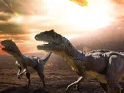El descubrimiento de 2025 que cambió nuestra visión sobre los dinosaurios