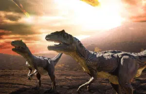 El descubrimiento de 2025 que cambió nuestra visión sobre los dinosaurios