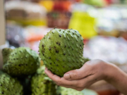 Guanábana, más que una fruta: para qué sirve, sus propiedades y beneficios en la salud