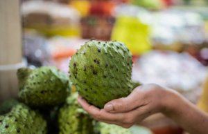 Guanábana, más que una fruta: para qué sirve, sus propiedades y beneficios en la salud