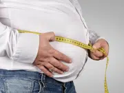 La grasa humana sorprende: científicos convierten tejido adiposo humano en organoides funcionales clave para la medicina regenerativa