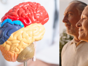 Cuatro neurólogos alertan sobre 11 señales del cerebro que nunca debe ignorar para detectar a tiempo enfermedades graves: ‘Muchas cosas pueden fallar’