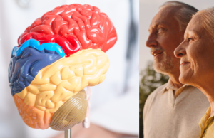 Cuatro neurólogos alertan sobre 11 señales del cerebro que nunca debe ignorar para detectar a tiempo enfermedades graves: ‘Muchas cosas pueden fallar’