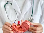 El hallazgo hecho en 1982 que llevó a que un grupo de científicos lograra curar el cáncer de páncreas en ratones (y busque hacer lo mismo con humanos)