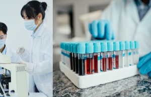 Estudio identifica el ‘códigos de barras’ moleculares en la sangre capaces de detectar el cáncer con más del 90 % de precisión