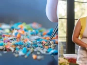 Los aditivos tóxicos del plástico que ingerimos a través de los alimentos