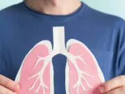 Científicos crean un pulmón ‘vivo’ en miniatura para estudiar la tuberculosis desde sus primeras fases