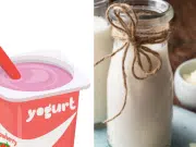 ¿Cuáles son los beneficios de los alimentos fermentados como el yogur o kéfir para la salud intestinal?