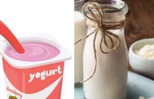 ¿Cuáles son los beneficios de los alimentos fermentados como el yogur o kéfir para la salud intestinal?