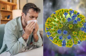 La ‘supergripa’ que preocupa a expertos y que estaría en todo el país: alertan por aumento de enfermedades respiratorias
