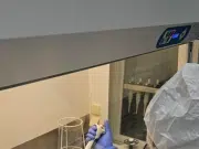 Genomas antiguos revelan que el herpesvirus humano acompaña a la humanidad desde la Edad del Hierro y dejó huella en nuestro ADN