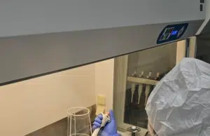 Genomas antiguos revelan que el herpesvirus humano acompaña a la humanidad desde la Edad del Hierro y dejó huella en nuestro ADN