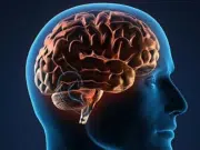 ¿Cómo cuidar la salud del cerebro? Experto entrega recomendaciones