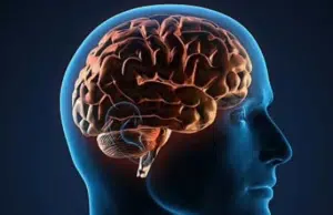 ¿Cómo cuidar la salud del cerebro? Experto entrega recomendaciones