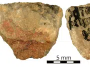 Hallan el veneno para flechas más antiguo del mundo: rastros de hace 60.000 años revelan caza avanzada en el sur de África