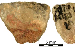 Hallan el veneno para flechas más antiguo del mundo: rastros de hace 60.000 años revelan caza avanzada en el sur de África