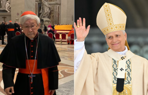 Cardenal Zen critica la sinodalidad impulsada durante el pontificado de Francisco y advierte al papa León XIV de la división en la iglesia: ‘Insulto’