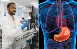 Expertos establecen un plazo máximo para realizar una endoscopia ante la sospecha de cáncer gástrico: ¿cuánto tiempo hay para actuar?