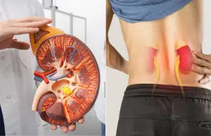 La función renal que puede fallar sin síntomas: esta es la señal silenciosa que alerta a los médicos