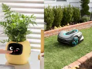 ‘Jardín inteligente’: la tecnología al servicio del cuidado de las plantas