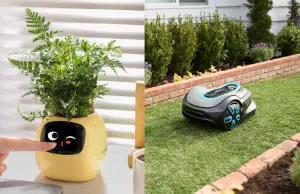 ‘Jardín inteligente’: la tecnología al servicio del cuidado de las plantas