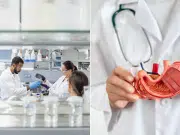 Cáncer de páncreas: qué se puede hacer hoy para prevenir uno de los tumores más silenciosos, según expertos