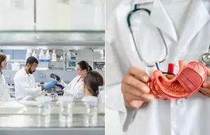 Cáncer de páncreas: qué se puede hacer hoy para prevenir uno de los tumores más silenciosos, según expertos