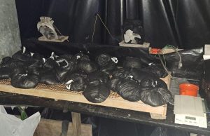 Desmantelan narcolaboratorio en el Cesar: incautados 824 kg de coca