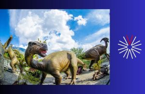 Disfrutar los últimos días de vacaciones en el Explora