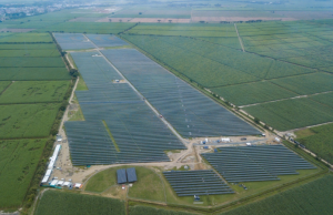 En Cauca, con granja solar evitan 8.144 toneladas de CO₂
