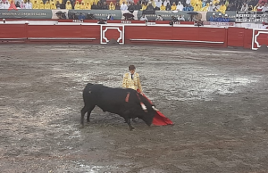 En el sexto vino la vencida en la Monumental de Manizales