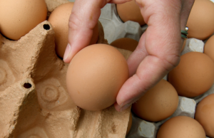 China realiza visita sanitaria para certificar exportación de huevos: Fenavi