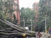 Obras de la nueva red eléctrica en Astorga y Manila, impactadas por lluvias de esta tarde