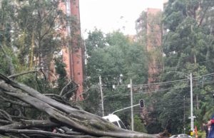 Obras de la nueva red eléctrica en Astorga y Manila, impactadas por lluvias de esta tarde